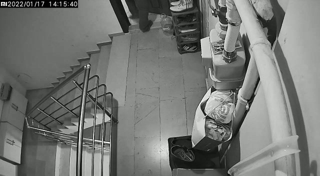 Kapısını Çaldığı Daireye Zorla Girdi, Ev Sahibi Çığlık Çığlığa Bağırdı