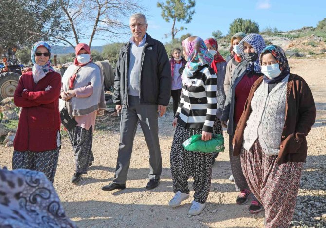 Mezitli Belediyesi, Bozön’de Orman Dışına Çıkarılan Alan İçin Başvuruda Bulundu