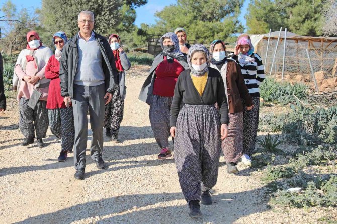 Mezitli Belediyesi, Bozön’de Orman Dışına Çıkarılan Alan İçin Başvuruda Bulundu