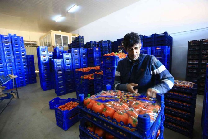 Büyükşehir, Toptancı Hal Esnafına ‘Kefil’ Oluyor