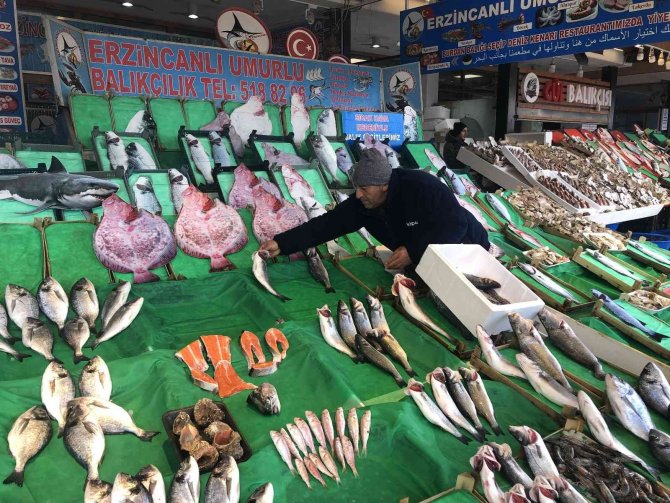 Hamsinin Fiyatı Cep Yakıyor