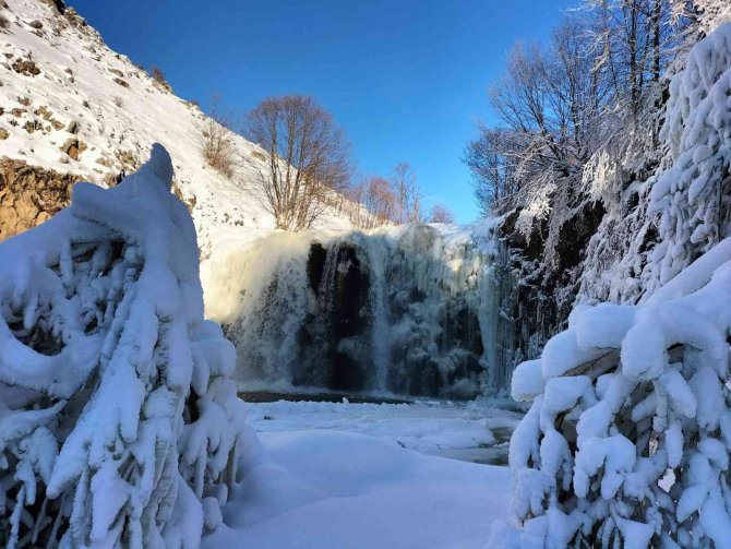 Ordu’da Şelale Buz Tuttu