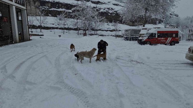 Onlar İtfaiyenin Neşe Kaynakları