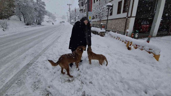 Onlar İtfaiyenin Neşe Kaynakları