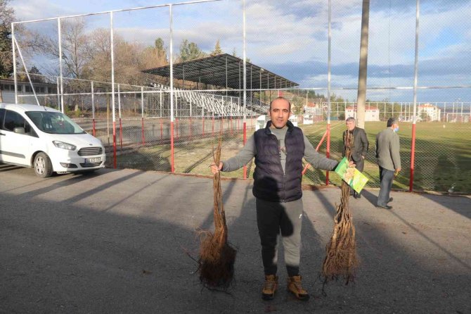 Denizli’de Sertifikalı Ceviz Fidanları Toprakla Buluşuyor