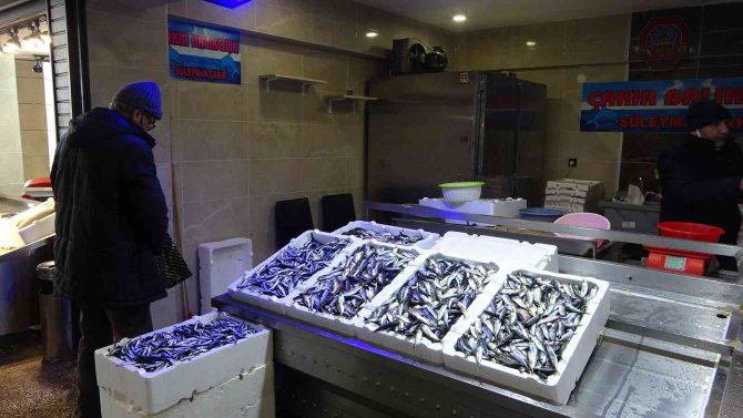 Beklenen Gürcü Hamsisi Sonunda Geldi