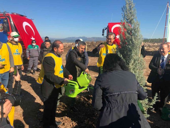 Milas’ta Türk-kore Dostluk Ormanı