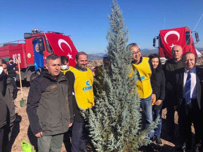 Milas’ta Türk-kore Dostluk Ormanı