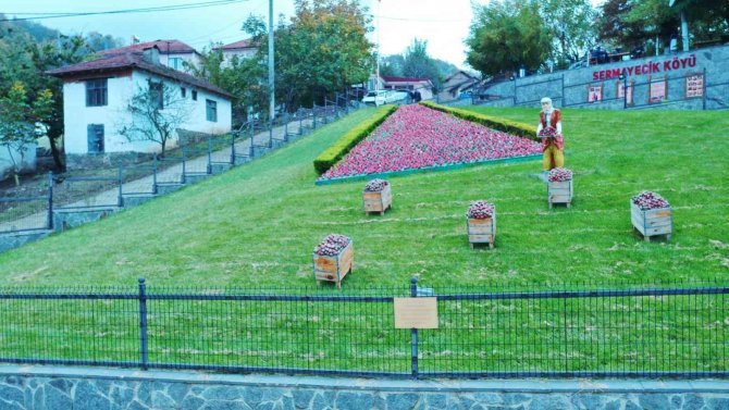 Elit Mekanların Gözde Çileği Bu Yıl 550 Ton Üretildi