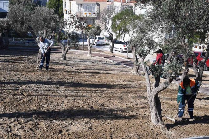Yemyeşil Bir Kuşadası İçin Çalışmalar Sürüyor