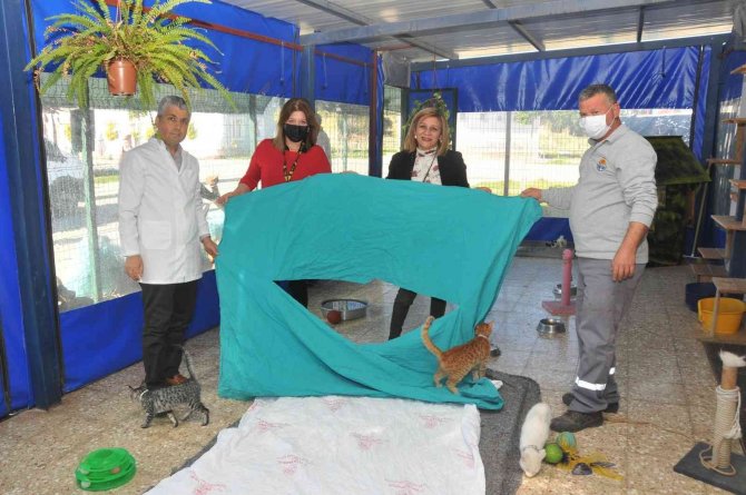 Hastanenin Eski Tekstil Ürünleri Hayvanlara Yatak Oluyor