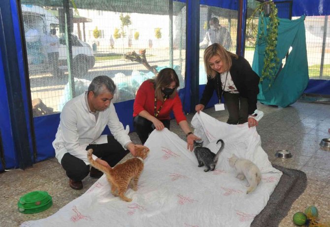 Hastanenin Eski Tekstil Ürünleri Hayvanlara Yatak Oluyor