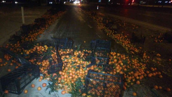 Afyonkarahisar’da Tırın Dorsesi Savruldu, Mandalinalar Yolu Saçıldı