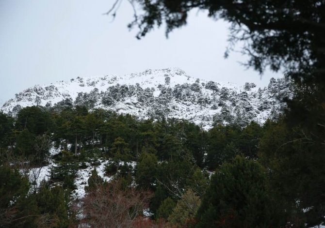Akdağ Tabiat Parkı’nda Muhteşem Kış Görüntüsü