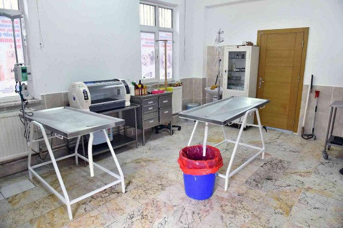 Kurtuluş Sokak Hayvanları Sağlık Merkezi’nin Tedavi Cihazları Yenilendi