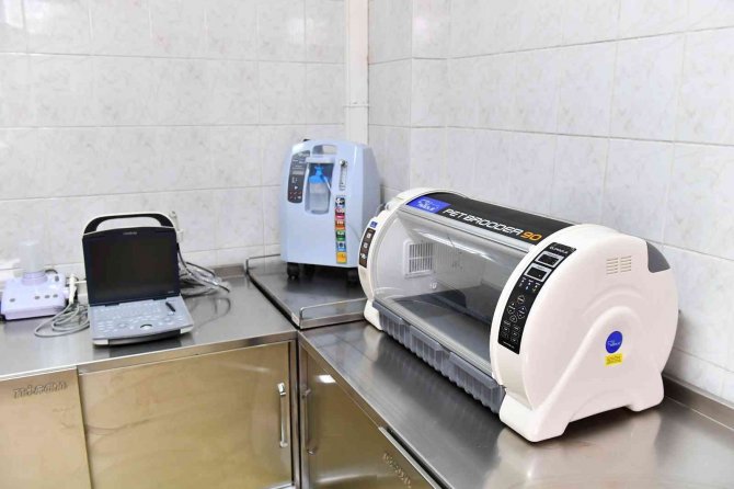 Kurtuluş Sokak Hayvanları Sağlık Merkezi’nin Tedavi Cihazları Yenilendi