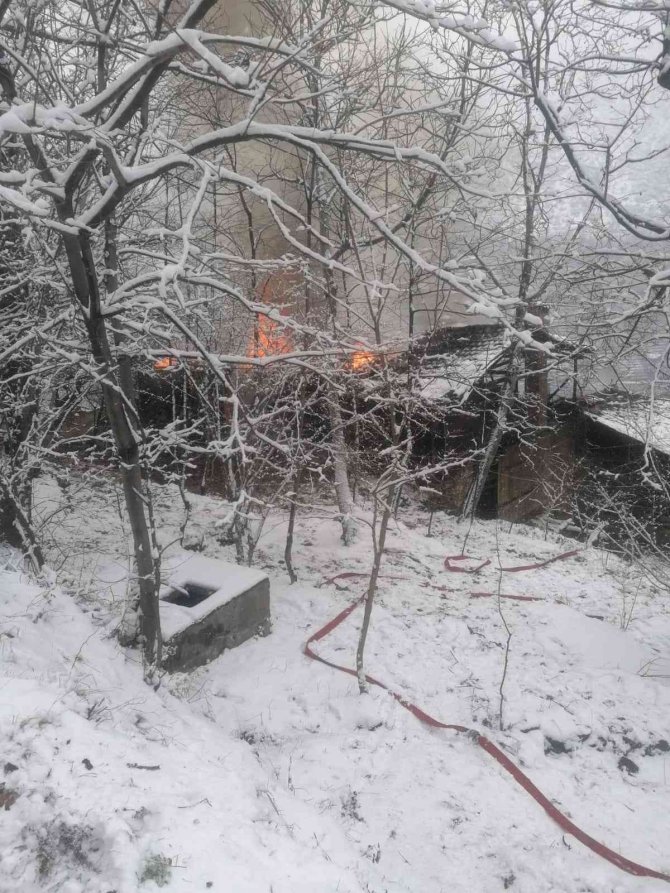 Artvin’de Korkutan Yangın