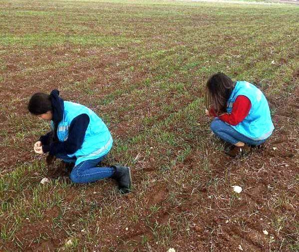 Aslanapa’da Ekili Alalarda Fonolojik Gözlem Çalışmaları