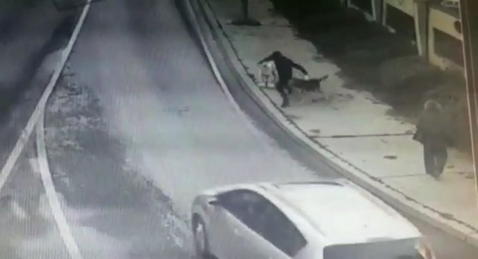 Bakırköy’de Dehşet Dolu Anlar, İş Adamına 6 Köpek Saldırdı