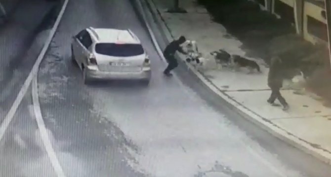 Bakırköy’de Dehşet Dolu Anlar, İş Adamına 6 Köpek Saldırdı