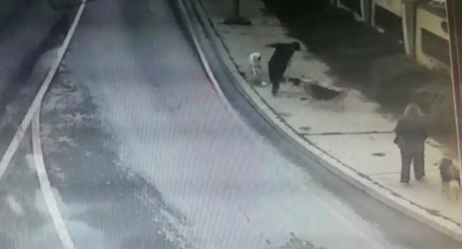 Bakırköy’de Dehşet Dolu Anlar, İş Adamına 6 Köpek Saldırdı