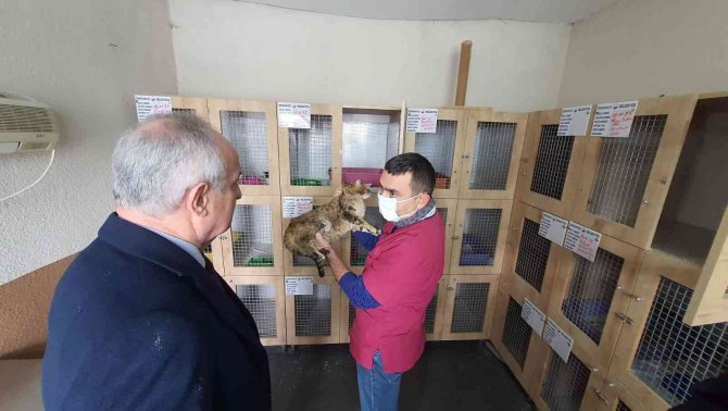 Başkan Aygün, Sokak Hayvanları Rehabilitasyon Merkezi’ni İnceledi