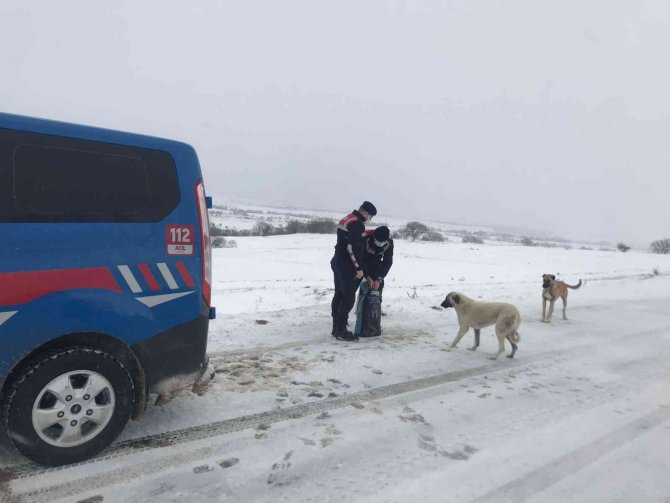 Jandarma Ekipleri, Sokak Hayvanlarını Unutmadı
