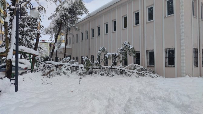 Gaziantep’te Kardan Çatılar Çöktü, Ağaçlar Kırıldı