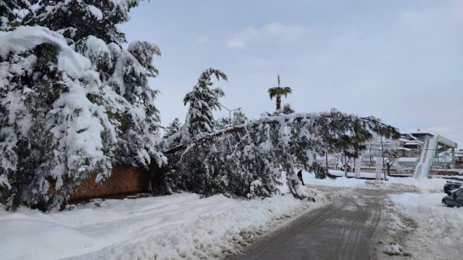Gaziantep’te Kardan Çatılar Çöktü, Ağaçlar Kırıldı