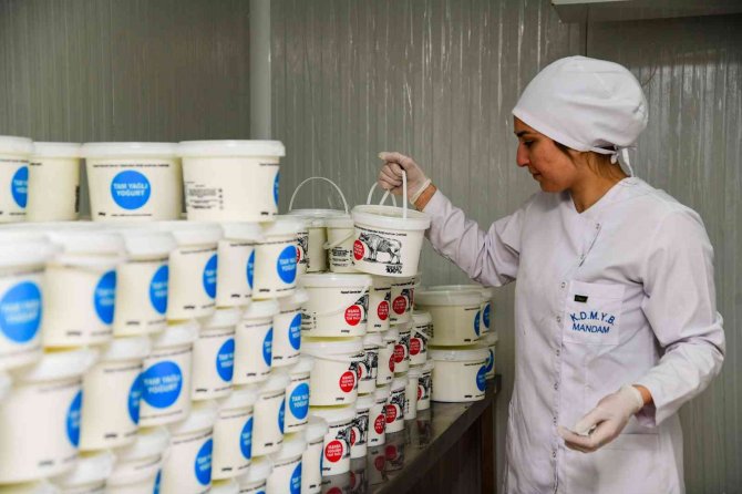 Hürmetçi Manda Sütü Bu Tesiste Markalaşıyor