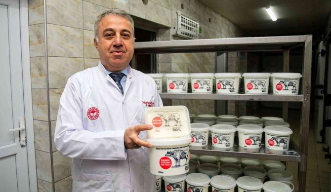 Hürmetçi Manda Sütü Bu Tesiste Markalaşıyor