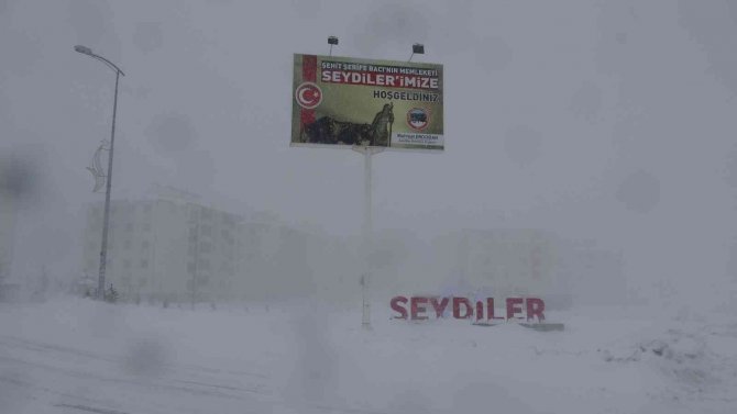 Öz Çekim Yaparken Sokak Köpeklerinin Saldırısına Uğrayan Çocuk Ölümden Döndü