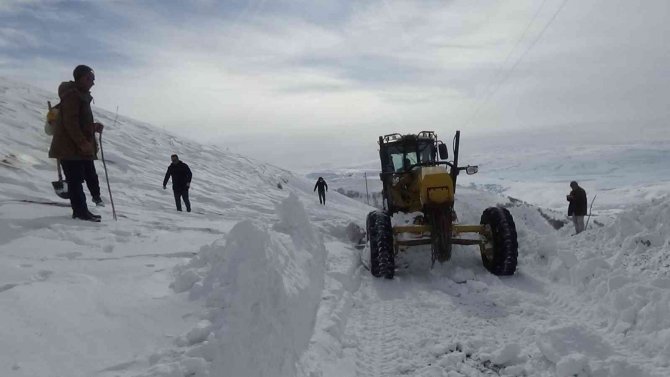 Muş’ta Kar Nedeniyle 266 Köy Yolu Ulaşıma Kapandı
