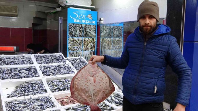 Olumsuz Hava Balıkçıları Vurdu, Fiyatlar Yükseldi