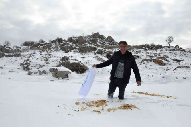 Gazeteciler Cemiyeti Yaban Hayvanlarını Unutmadı, Doğaya Yem Bıraktı