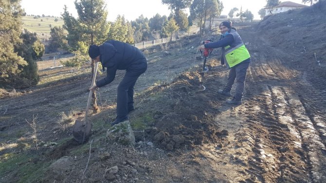 Nallıhan’da Hayırseverlerin Desteği İle Meyve Ağacı Fidanları Dikildi