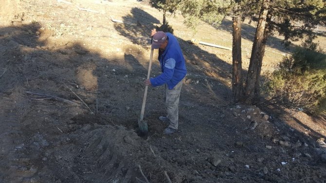 Nallıhan’da Hayırseverlerin Desteği İle Meyve Ağacı Fidanları Dikildi