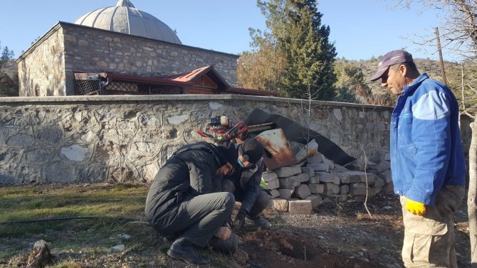 Nallıhan’da Hayırseverlerin Desteği İle Meyve Ağacı Fidanları Dikildi