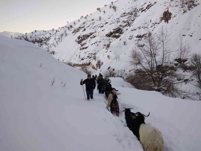 Asker Ve Köy Koruyucuları 3 Gündür Seferber Olduğu Keçileri Bulup Sahibine Teslim Etti