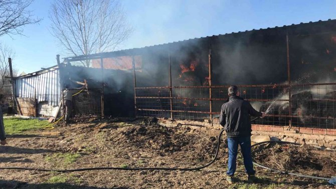 Çan’da 300 Adet Saman Balyası Yandı