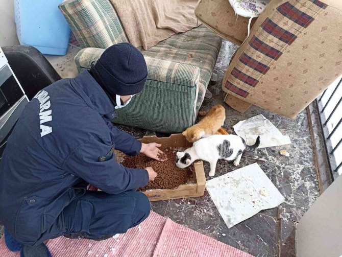Elazığ’da Jandarma Ekiplerinden Yürekleri Isıtan Hareket: Sokak Hayvanlarını Elleri İle Beslediler