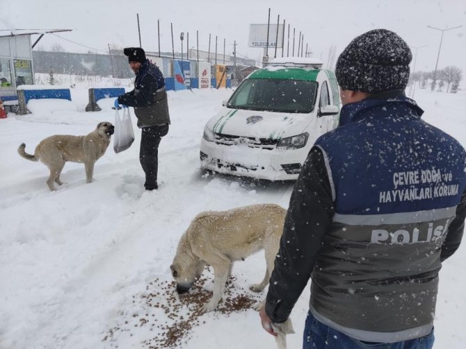 Elazığ Polisi Sokak Hayvanlarını Unutmadı