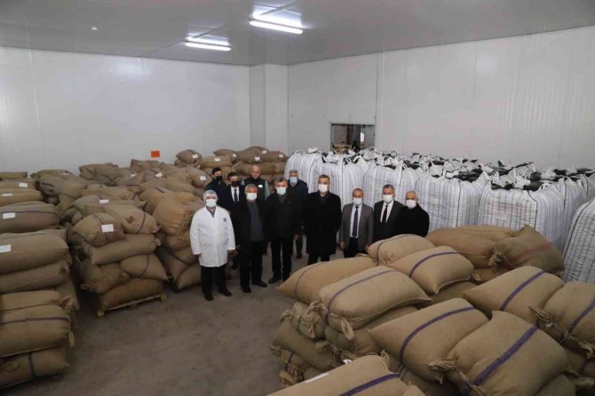 Fi̇skobi̇rli̇k Fındık İhracatında 21. Sırada