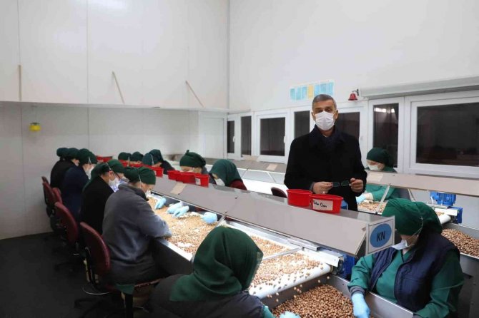 Fi̇skobi̇rli̇k Fındık İhracatında 21. Sırada