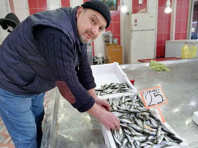 Giresunlu Balıkçıların Hamsi İsyanı