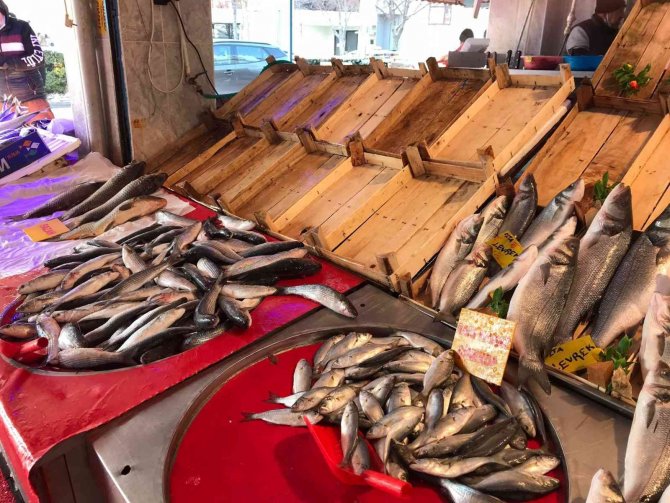 Olumsuz Hava Şartları Eskişehir’deki Balık Tezgâhlarını Boş Bıraktı