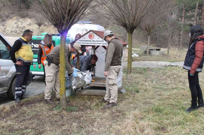 Haydi̇ Ekipleri, Soğuk Kış Gününde Sokak Hayvanlarını Yalnız Bırakmadı