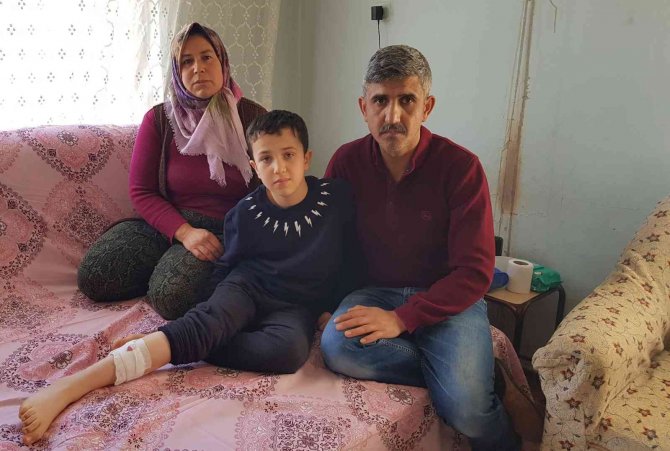 Sokak Köpekleri Bir Çocuğa Daha Saldırdı