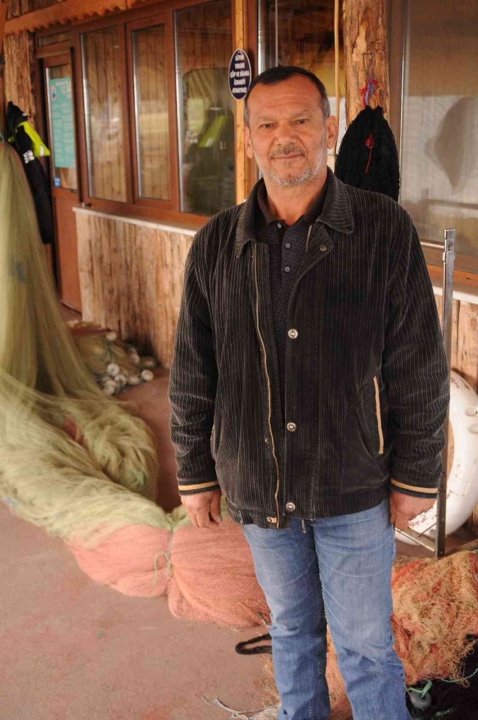 Balıkçılar Yunusların Ağlara Verdiği Yaraları Sarıyor