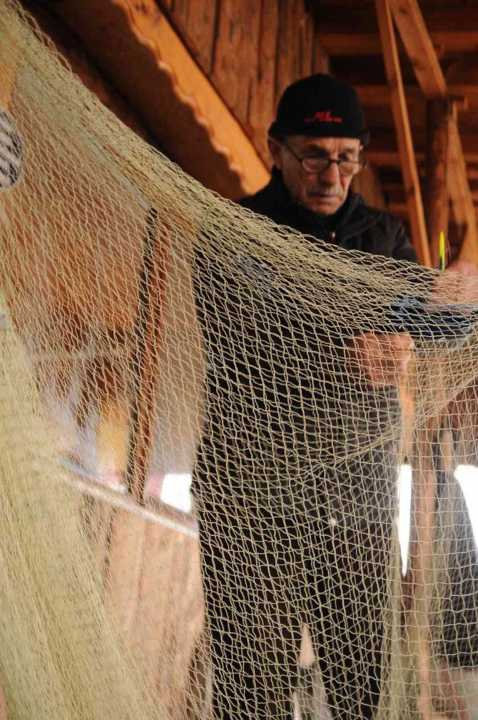 Balıkçılar Yunusların Ağlara Verdiği Yaraları Sarıyor